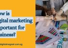 How is digital marketing important for business?