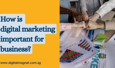 How is digital marketing important for business?